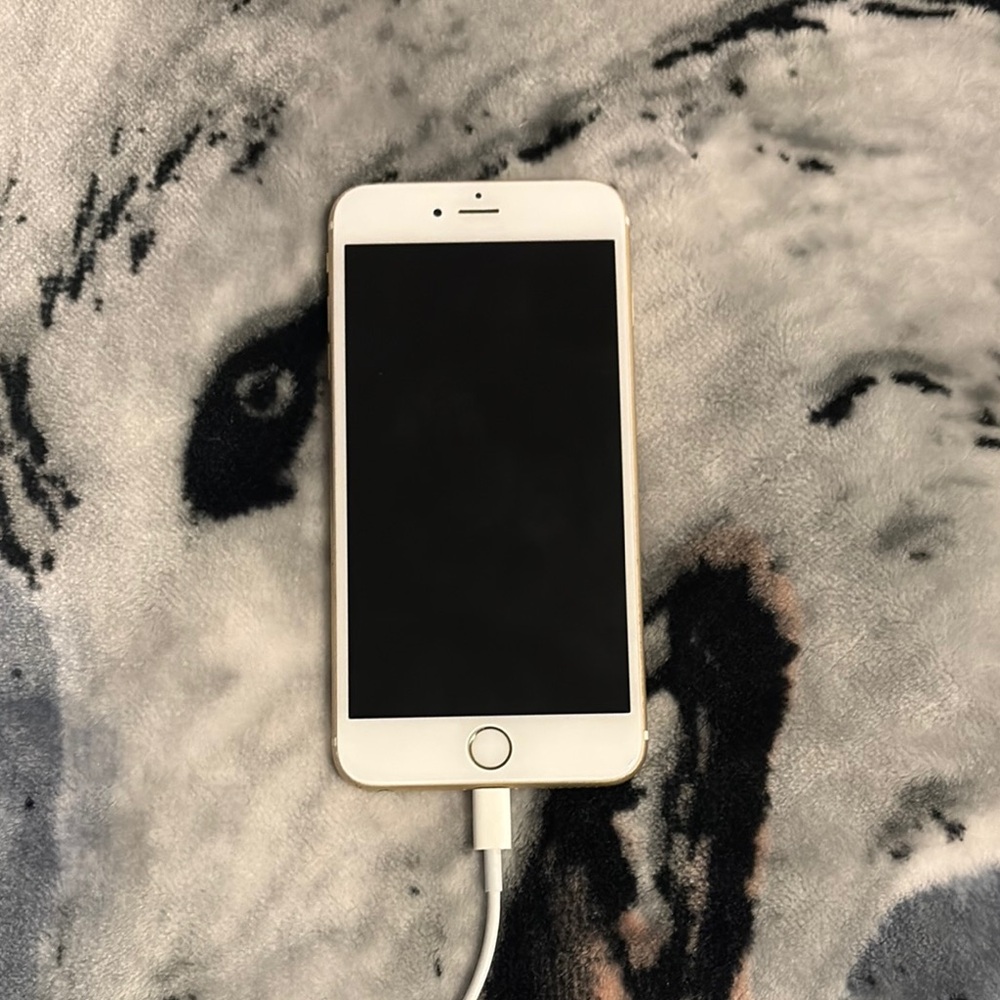 iPhone 6s Plus in Gold